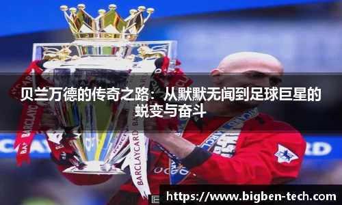 MK体育官网入口