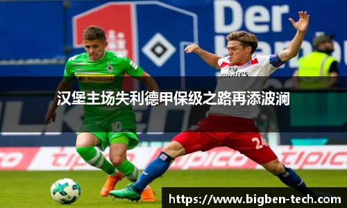 汉堡主场失利德甲保级之路再添波澜