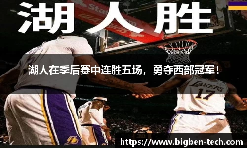 MK体育手机网页版登录